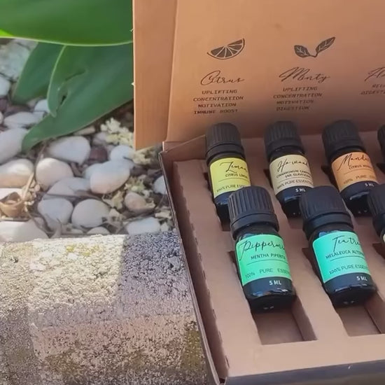 Set de 12 aceites esenciales para aromaterapia: aromas naturales como lavanda, eucalipto, naranja dulce, limón y más, perfectos para crear un ambiente relajante y equilibrado.